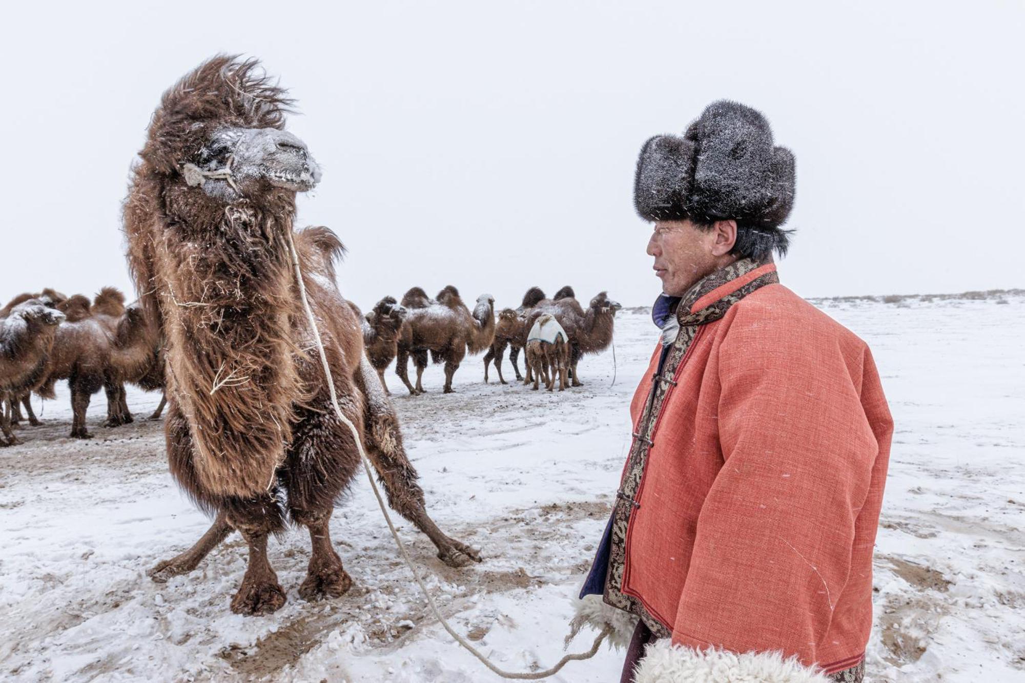 Отель Gobi-Girl Улан-Батор Экстерьер фото