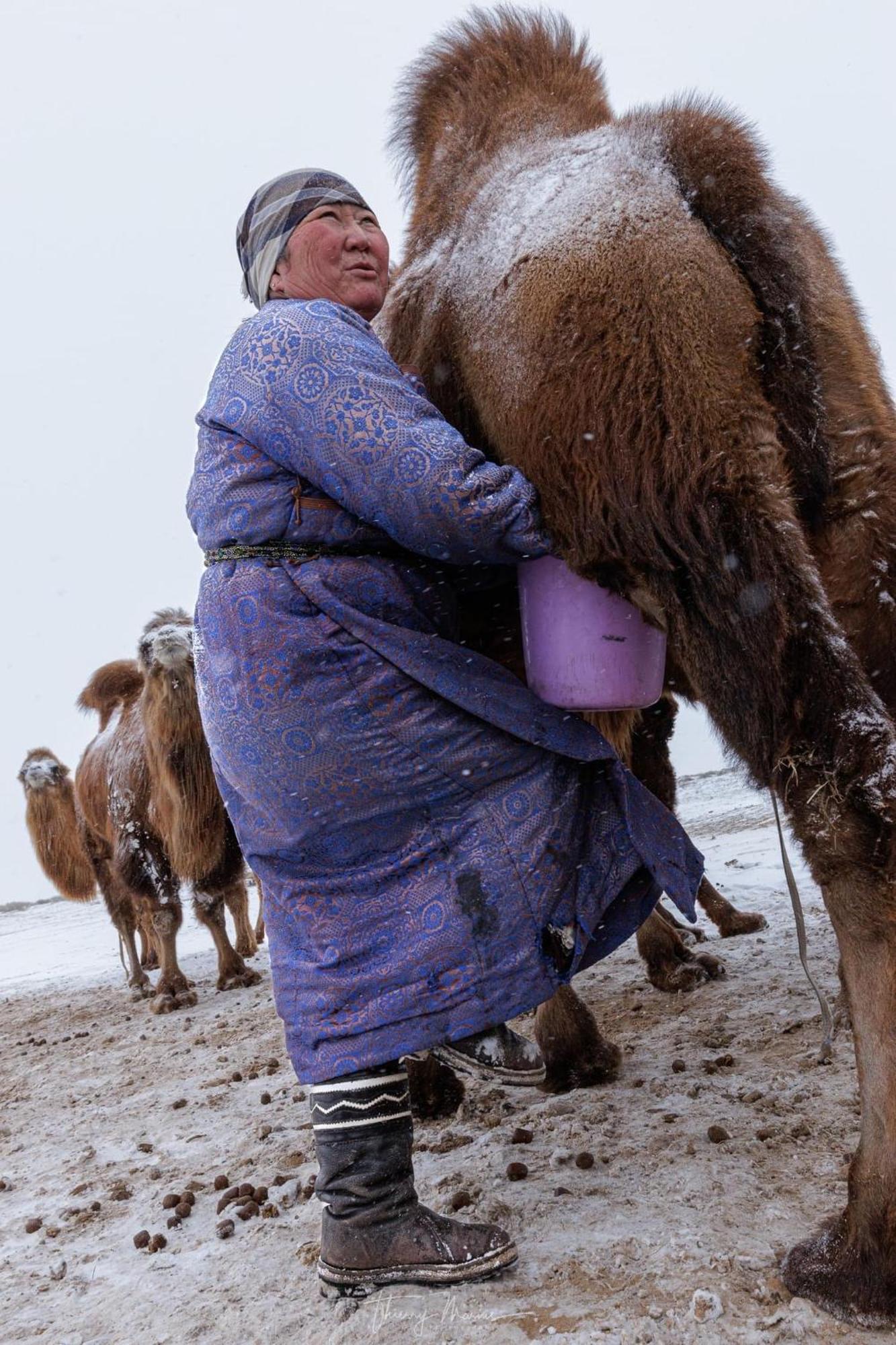 Отель Gobi-Girl Улан-Батор Экстерьер фото