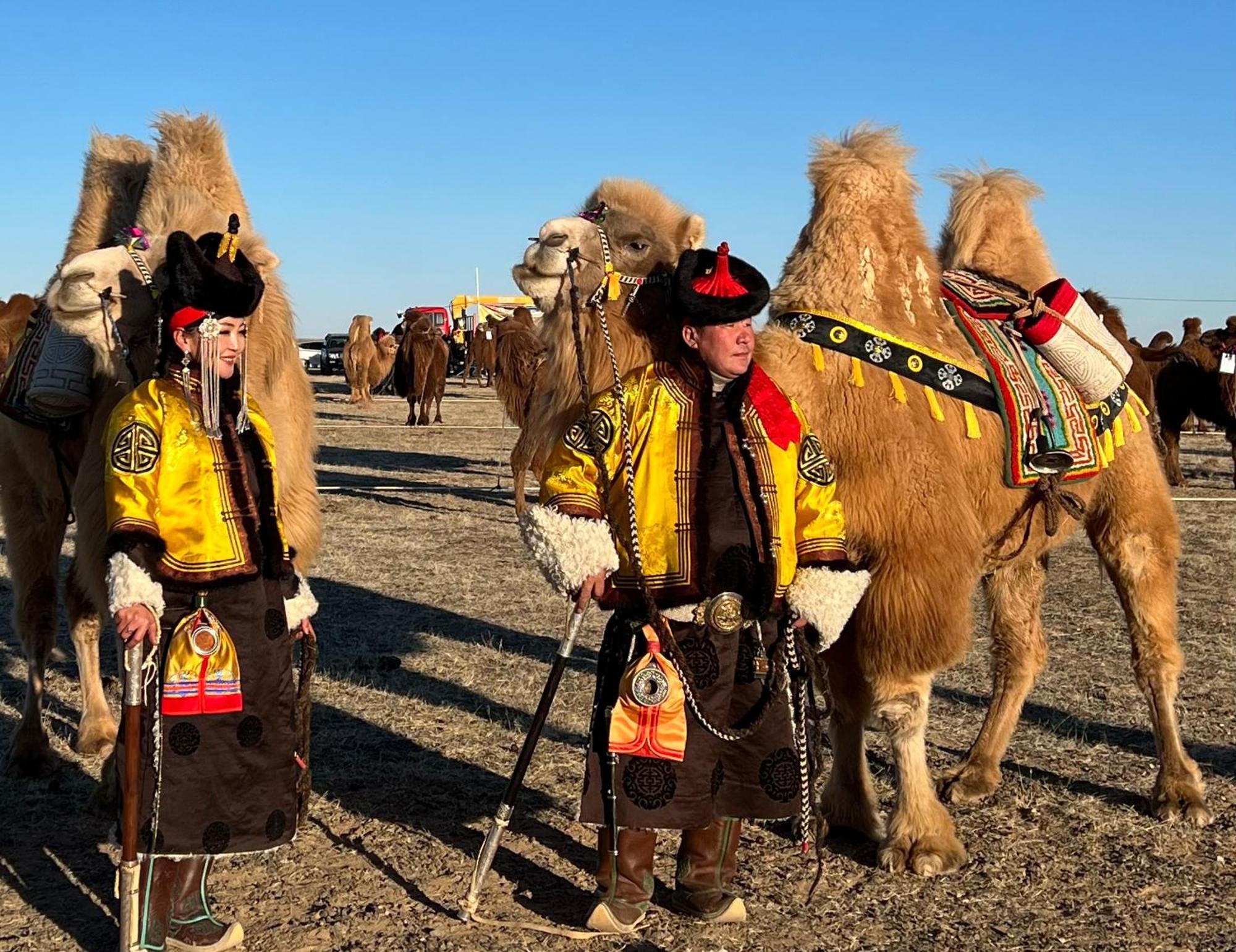 Отель Gobi-Girl Улан-Батор Экстерьер фото