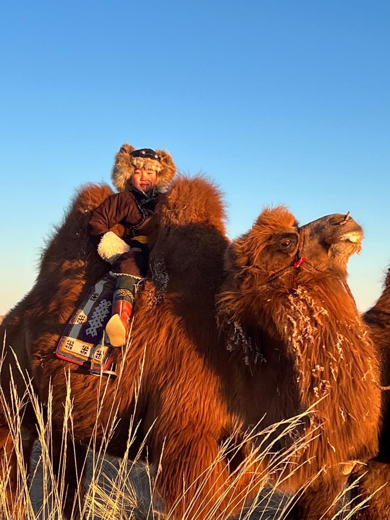 Отель Gobi-Girl Улан-Батор Экстерьер фото